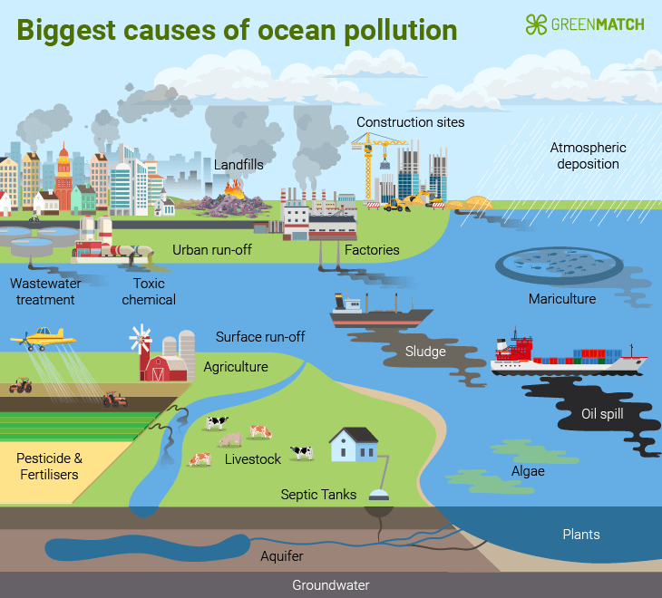 Biggest Causes of Ocean Pollution Visualization