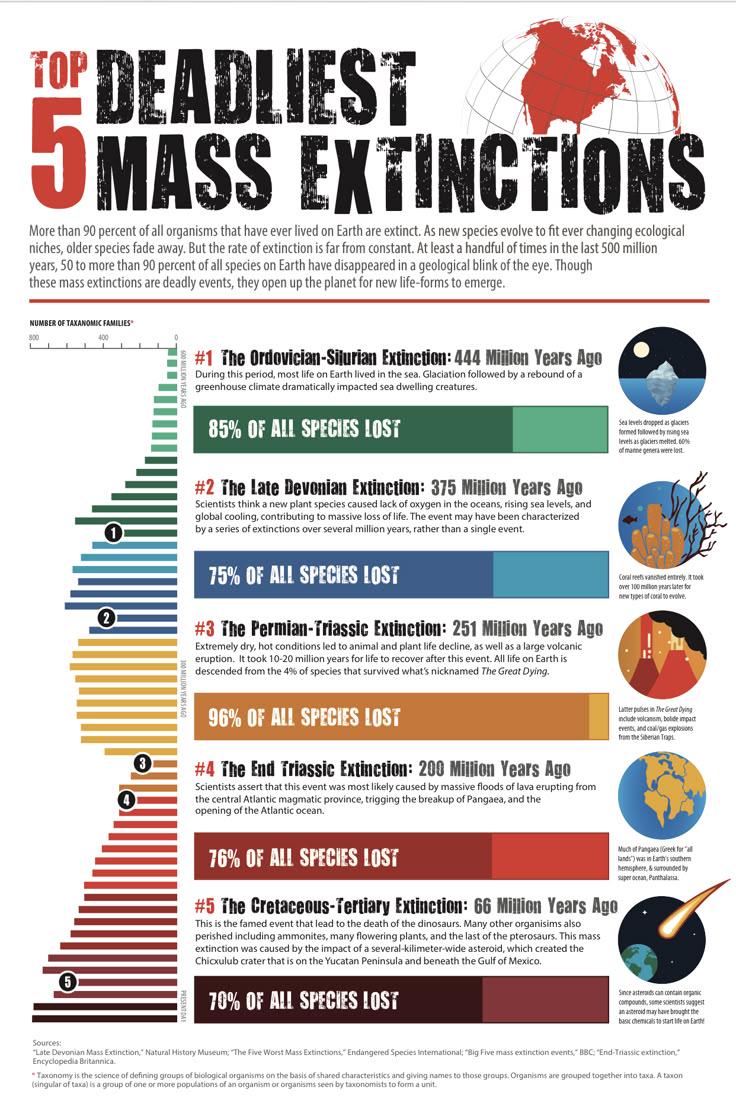 Top 5 Deadliest Mass Extinctions Visualization Top 5 Deadliest Mass Extinctions Visualization