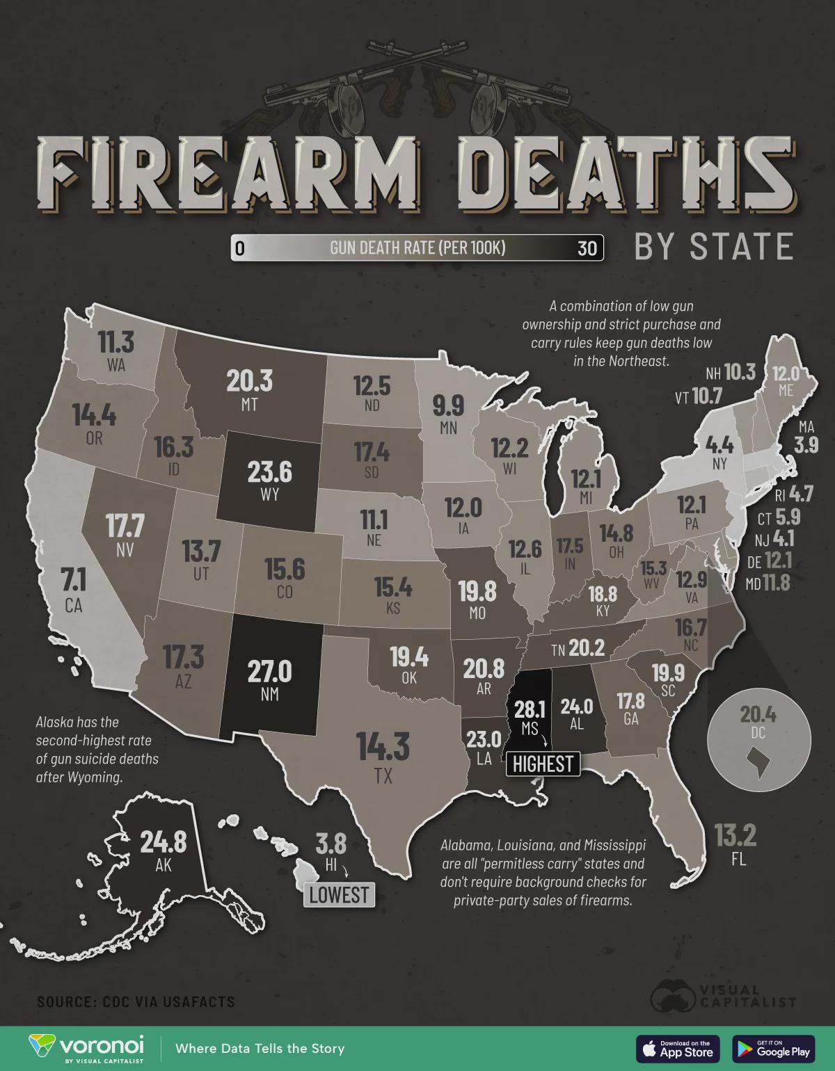 Mapped: Firearm Deaths by U.S. State Visualization