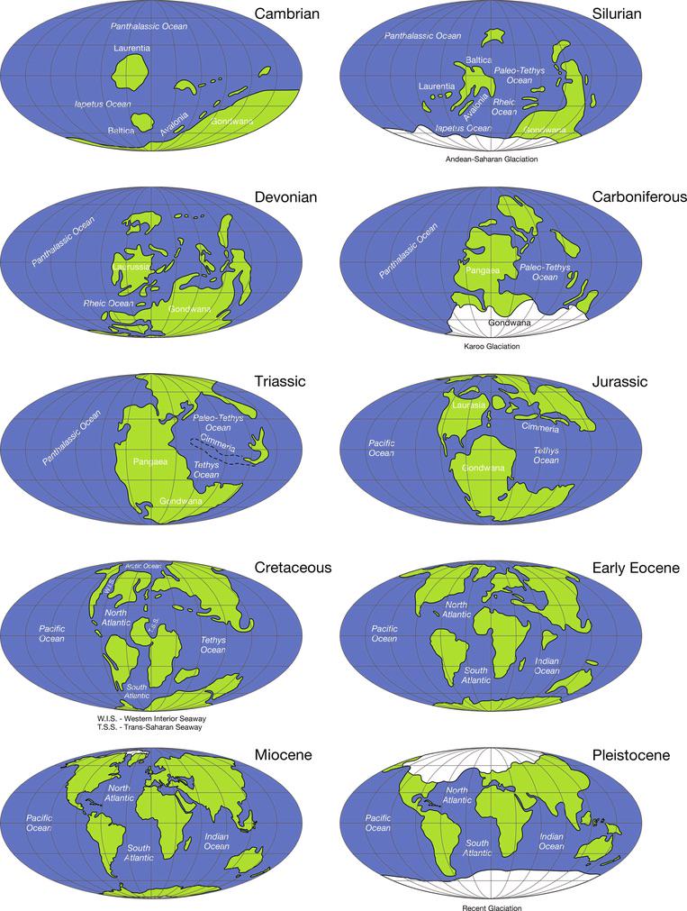 The movement of Earth’s continents from the Cambrian to the Pleistocene Visualization