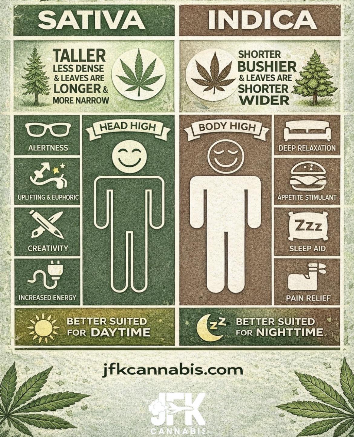 The difference between sativa and Indica cannabis guide Visualization