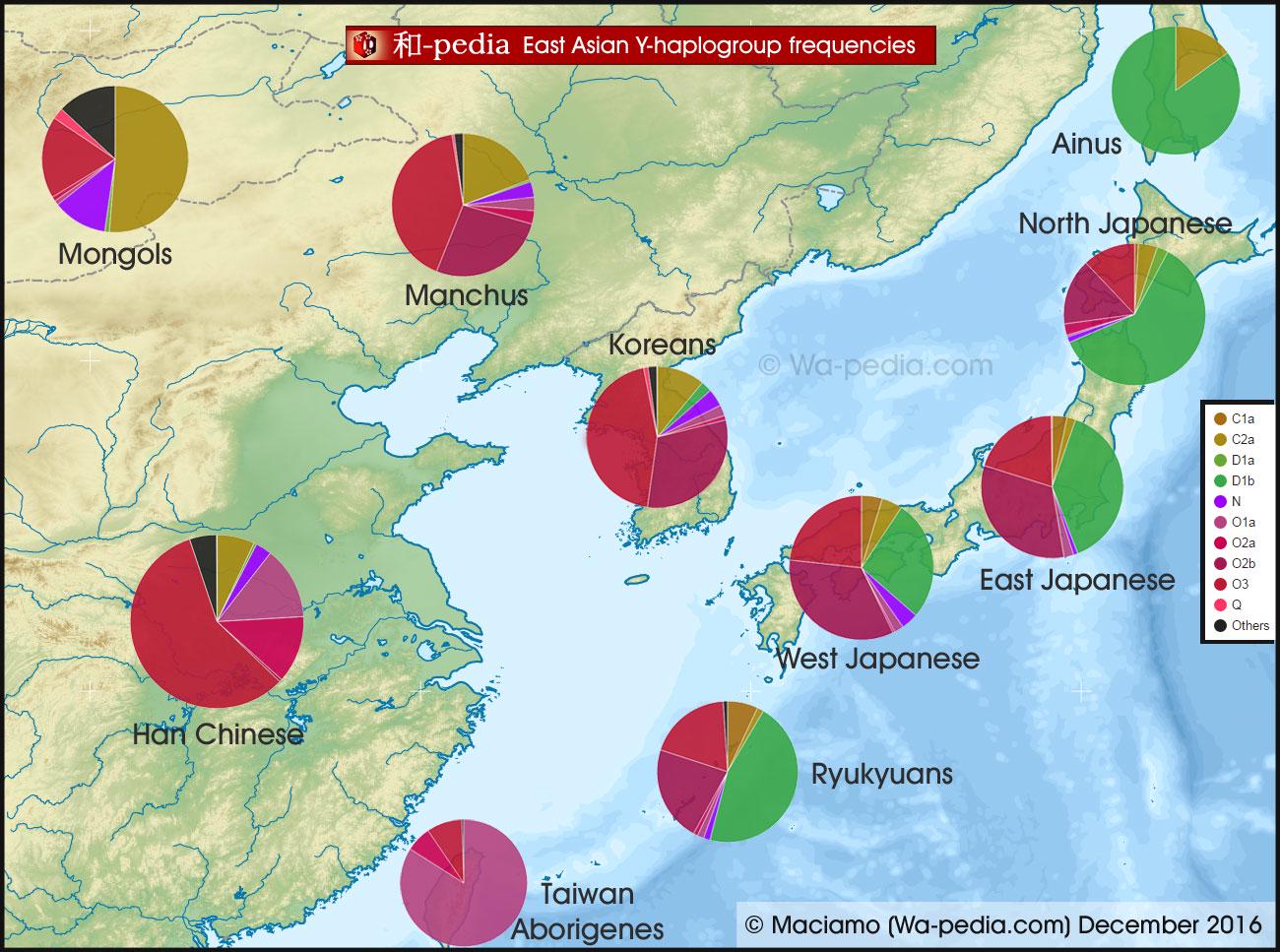 Y haplogroup frequency in east asia Visualization