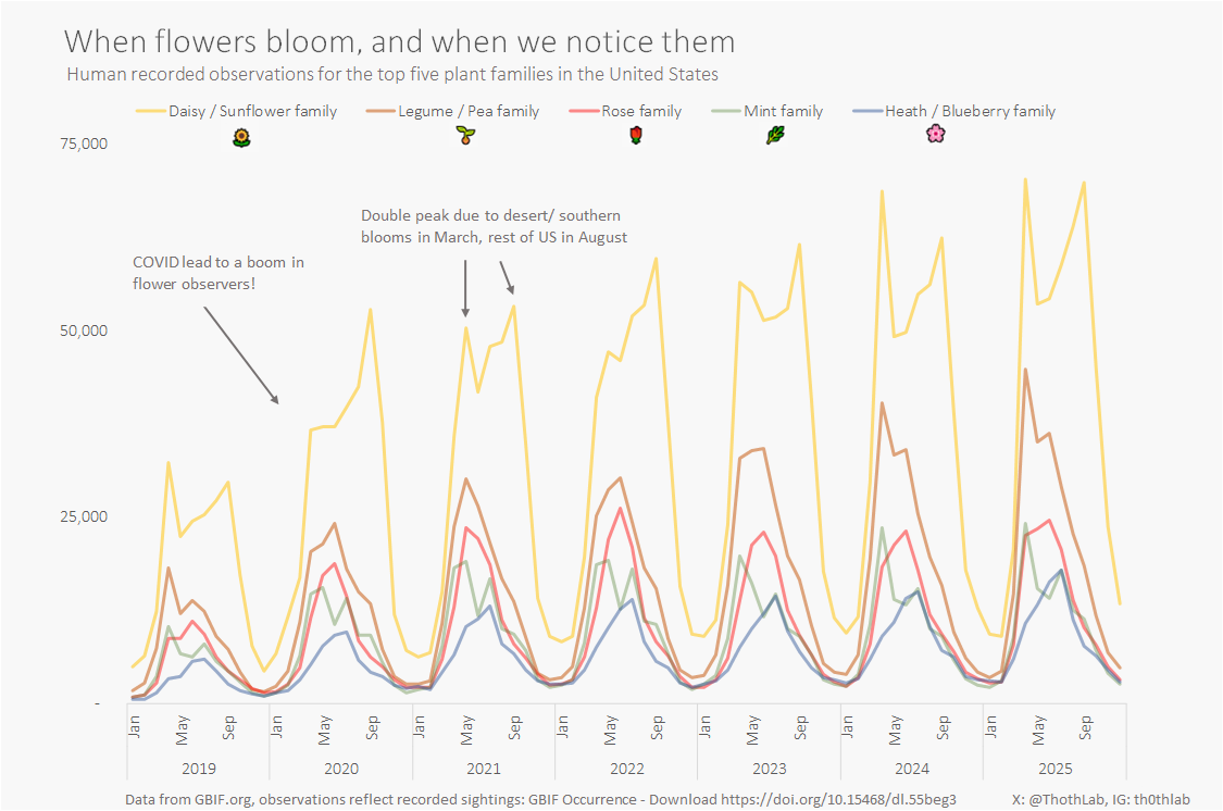 [OC] Plotted the trend of human recorded flower observations recorded out in the wild, the daisy &amp; sunflower family dominates Analysis