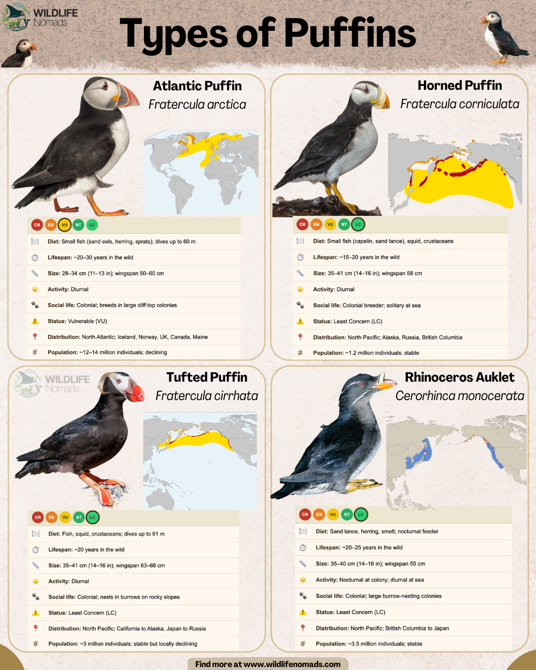 The four types of Puffins around the World Visualization The four types of Puffins around the World Visualization