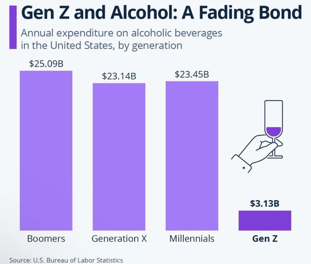 Gen Z and alcohol Visualization