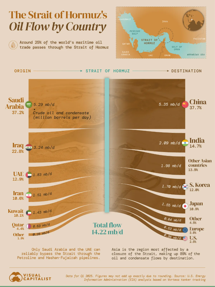 Countries most affected by Strait of Hormuz closure Visualization