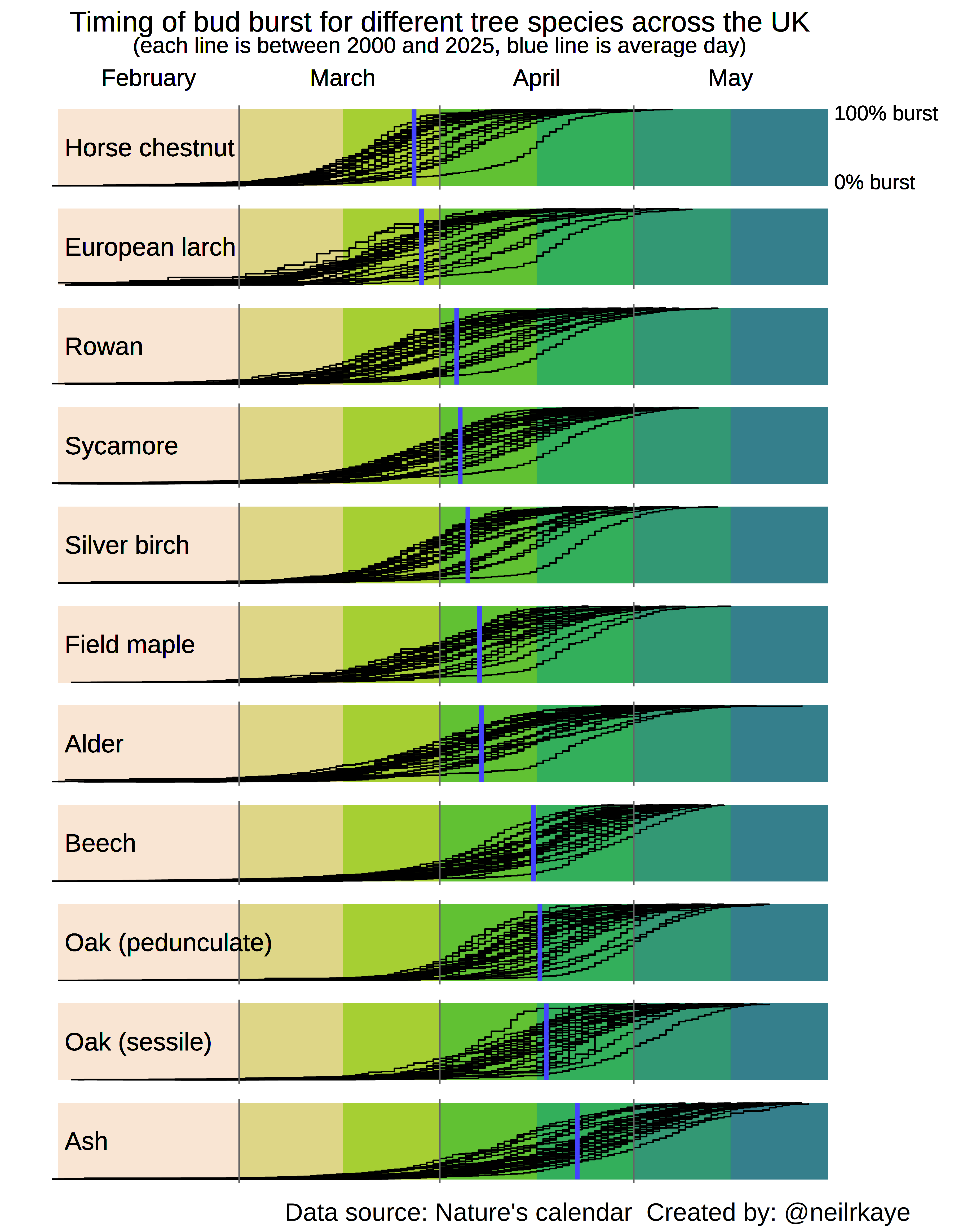 Timing of bud burst for different tree species across the UK. The black lines show the timing in the Spring for the years 2000 to 2025 and the blue line is the average day for that species. [OC] Visualization