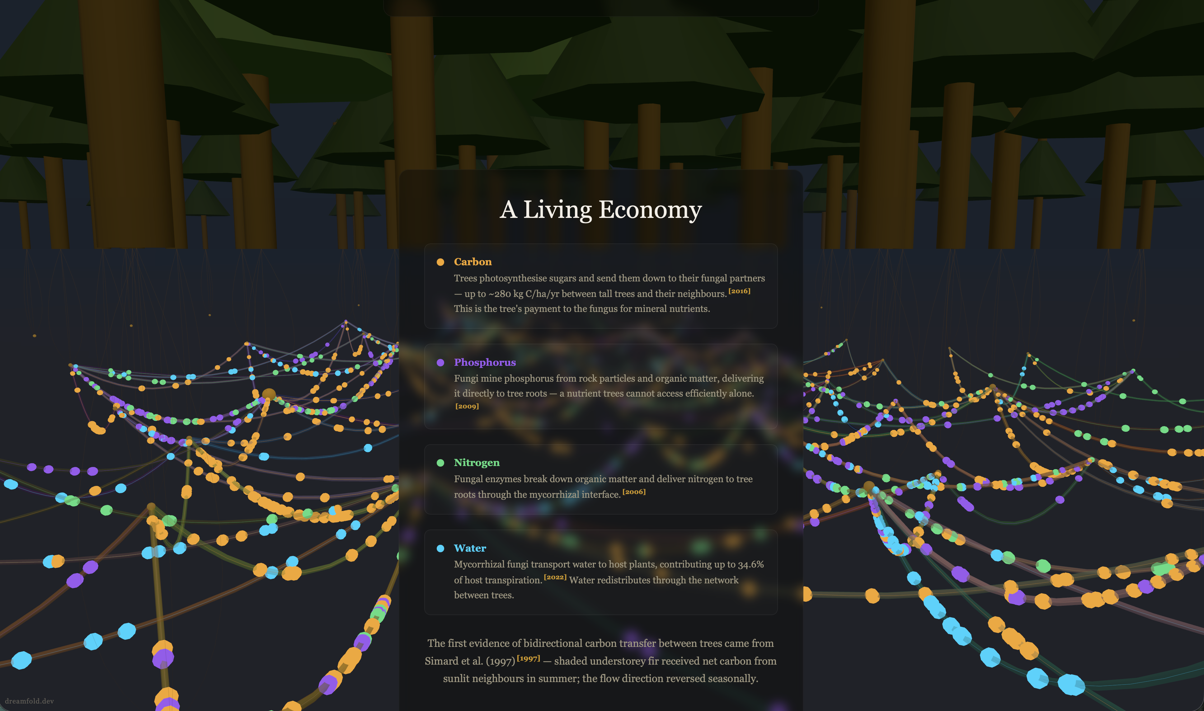 [OC] I visualised a real underground fungal network connecting 67 trees in a forest — the "Wood Wide Web" Visualization