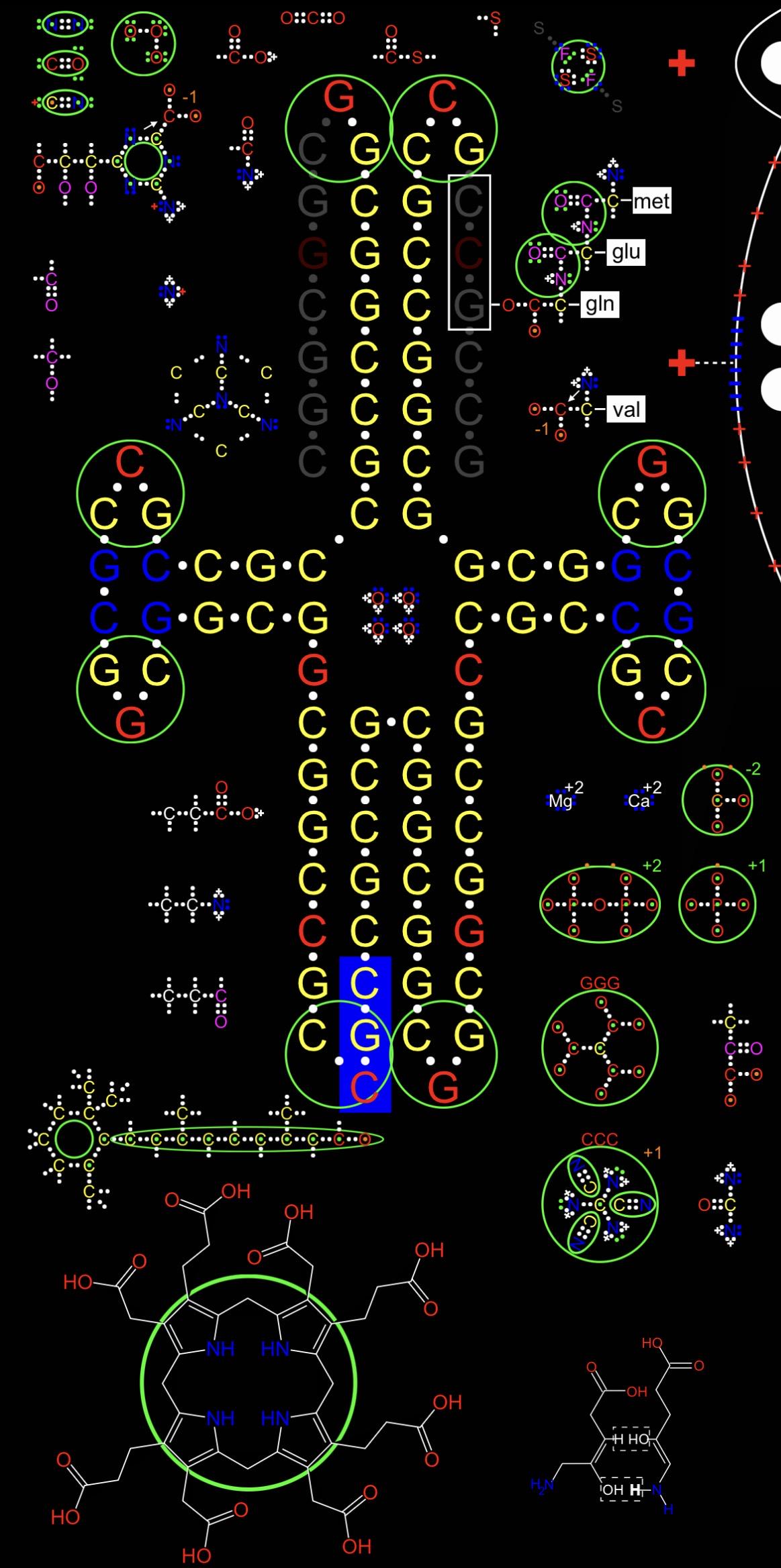 Origin of life molecules Visualization Origin of life molecules Visualization