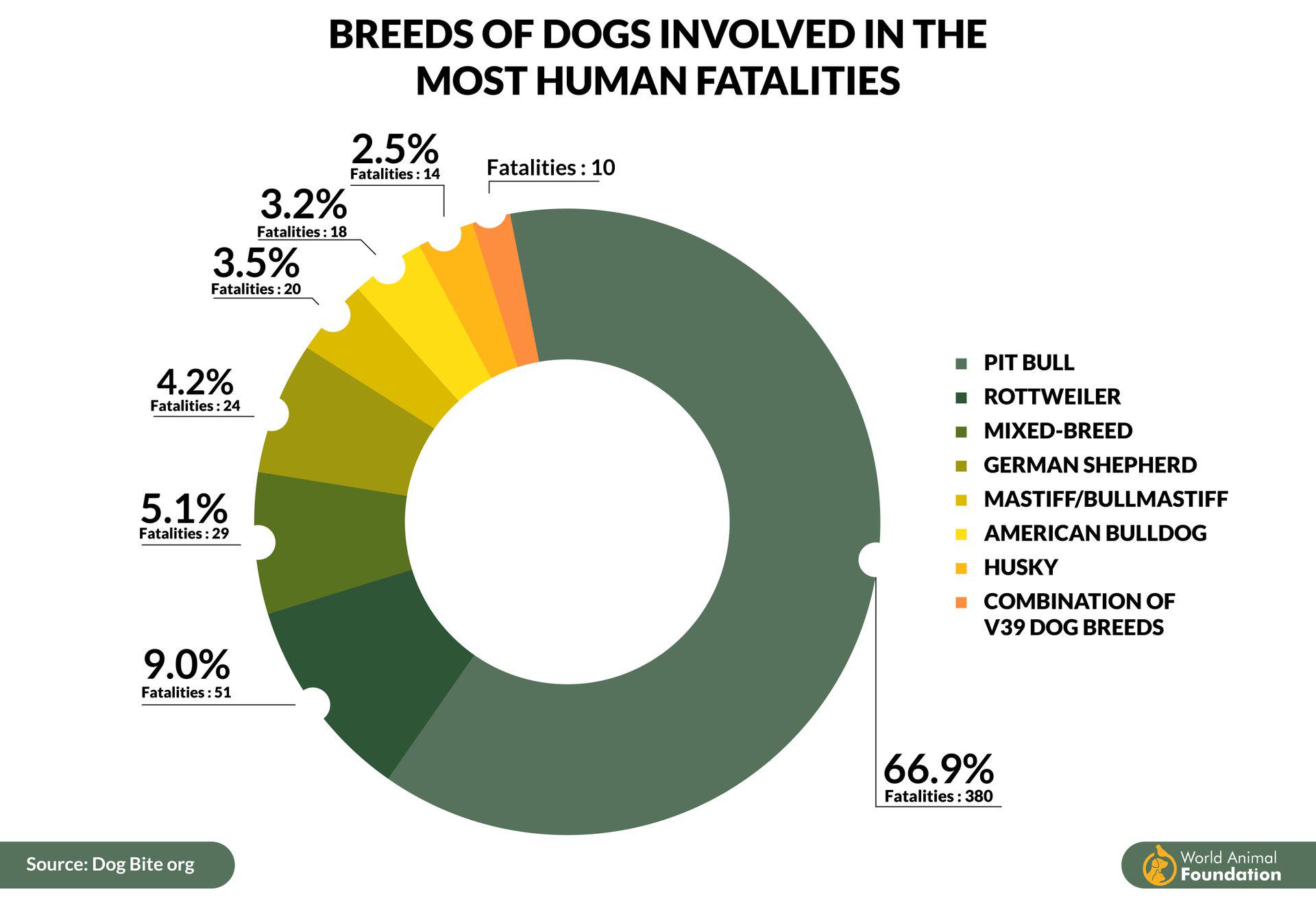 Dog Bite Statistics By Breed Statistics