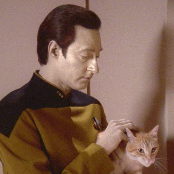 Truly the most beautiful Data Statistics