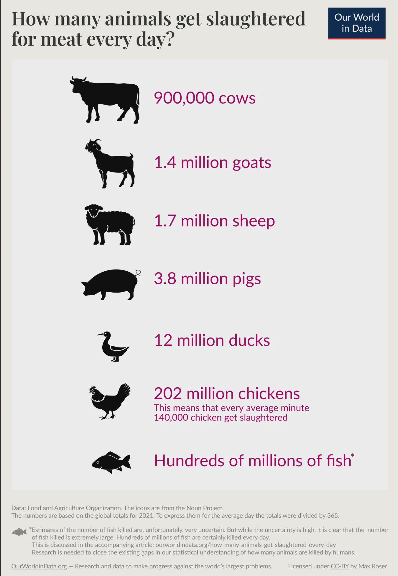 How many animals are culled for meat every day? Visualization