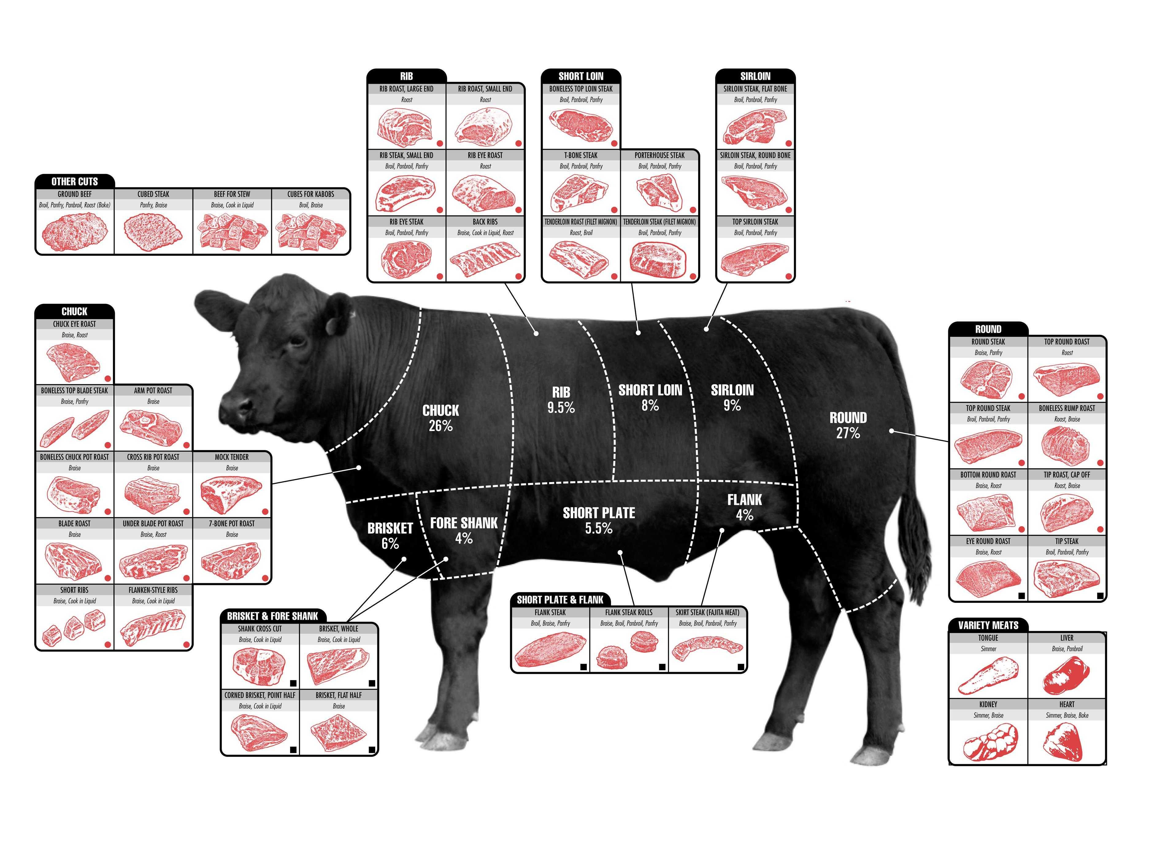 Primal and sub-primal cuts of beef Visualization Primal and sub-primal cuts of beef Visualization