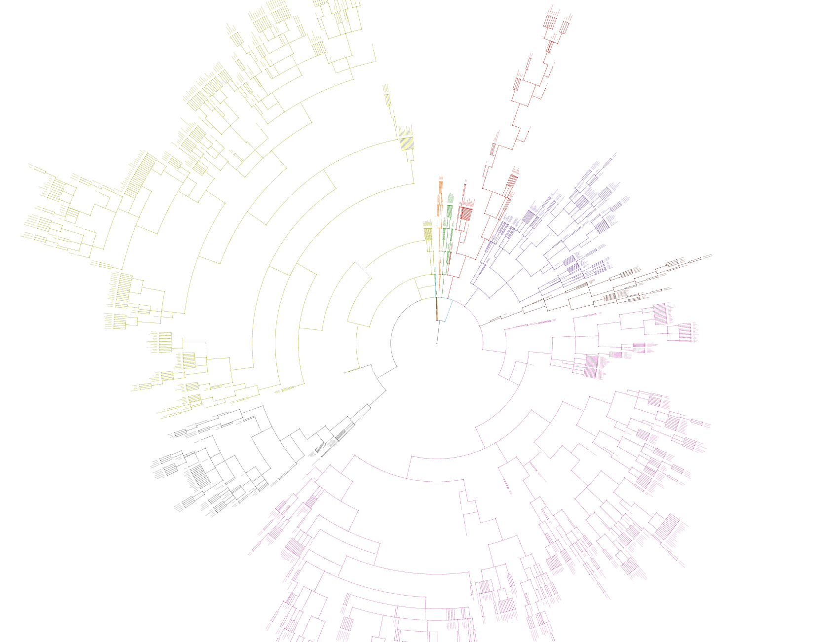 [OC] Indo-European Languages Visualization