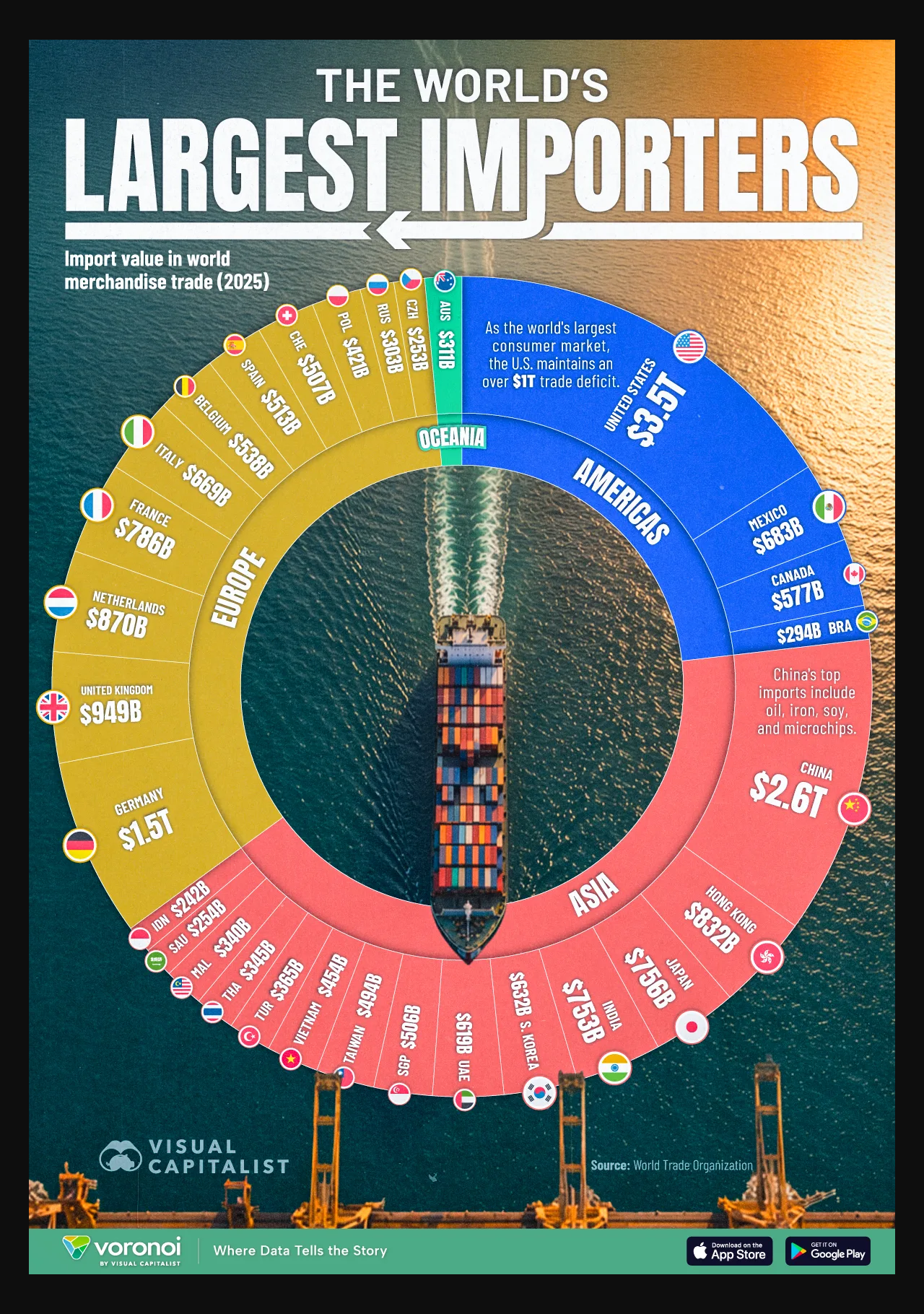 Ranked: The World's Largest Importers in 2025 Visualization