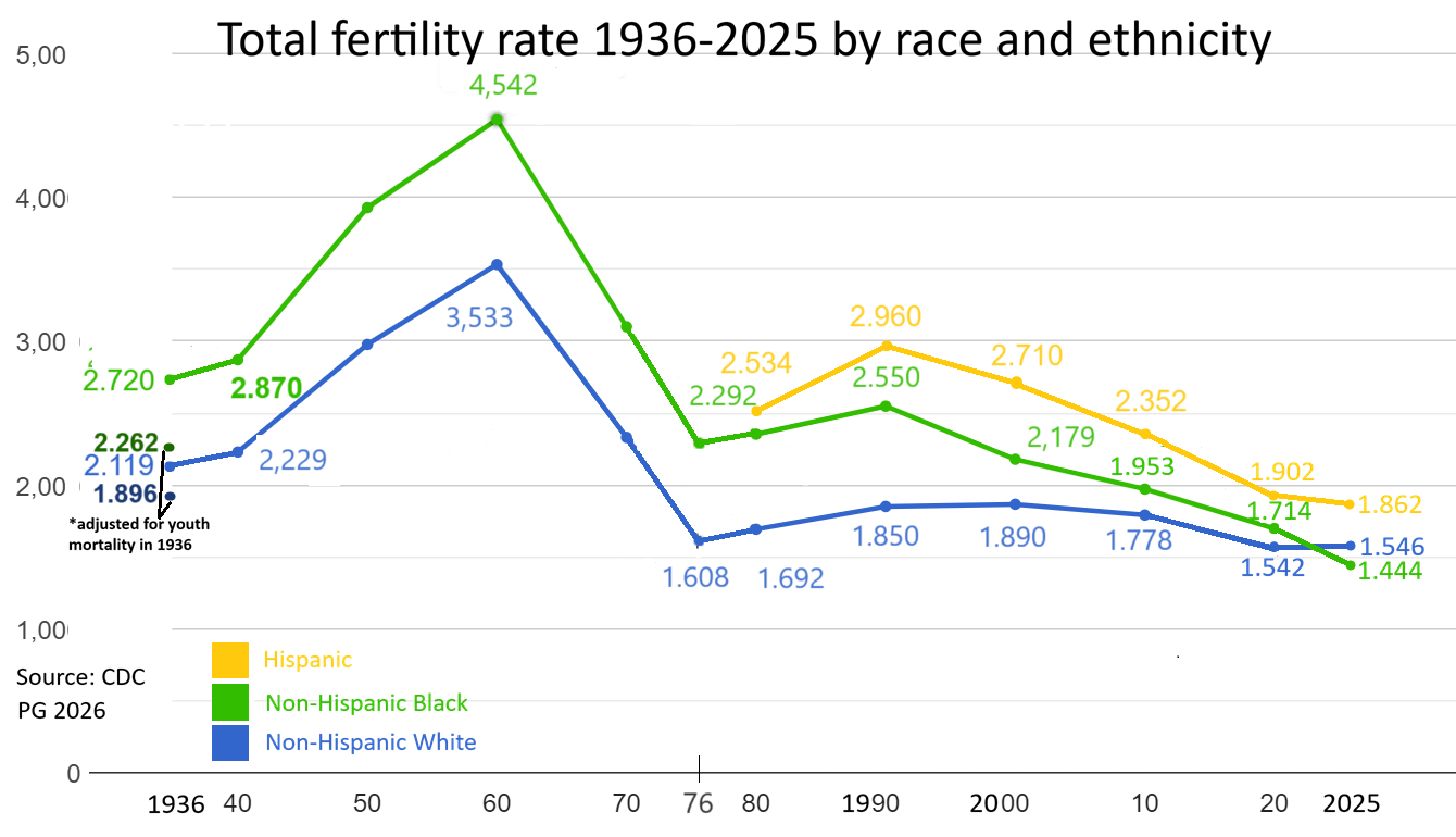US total fertility rates by race and ethnicity 1936-2025 Visualization