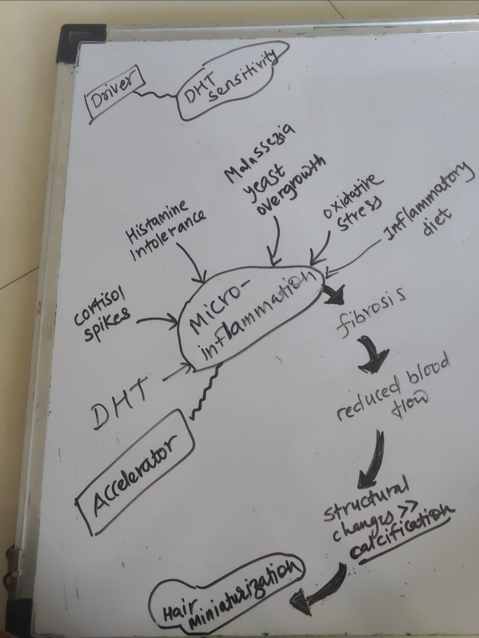 The science behind it . Visualization