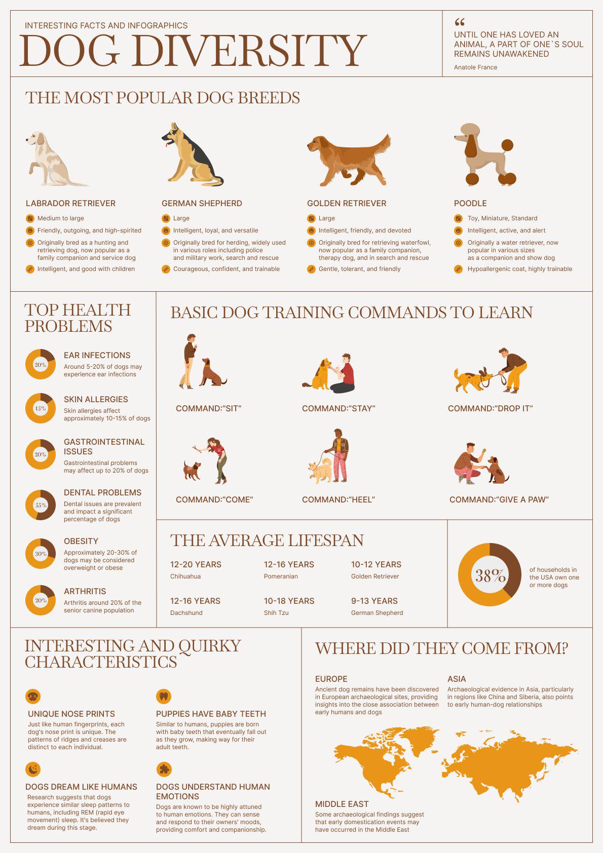 Dog breeds, training, health issues, lifespan⦠owning a dog is basically a full-time study program Visualization Dog breeds, training, health issues, lifespan⦠owning a dog is basically a full-time study program Visualization