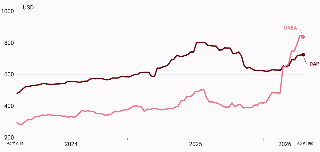 Fertilizer prices for DAP and Urea since April 2024 (Investing.com) Visualization