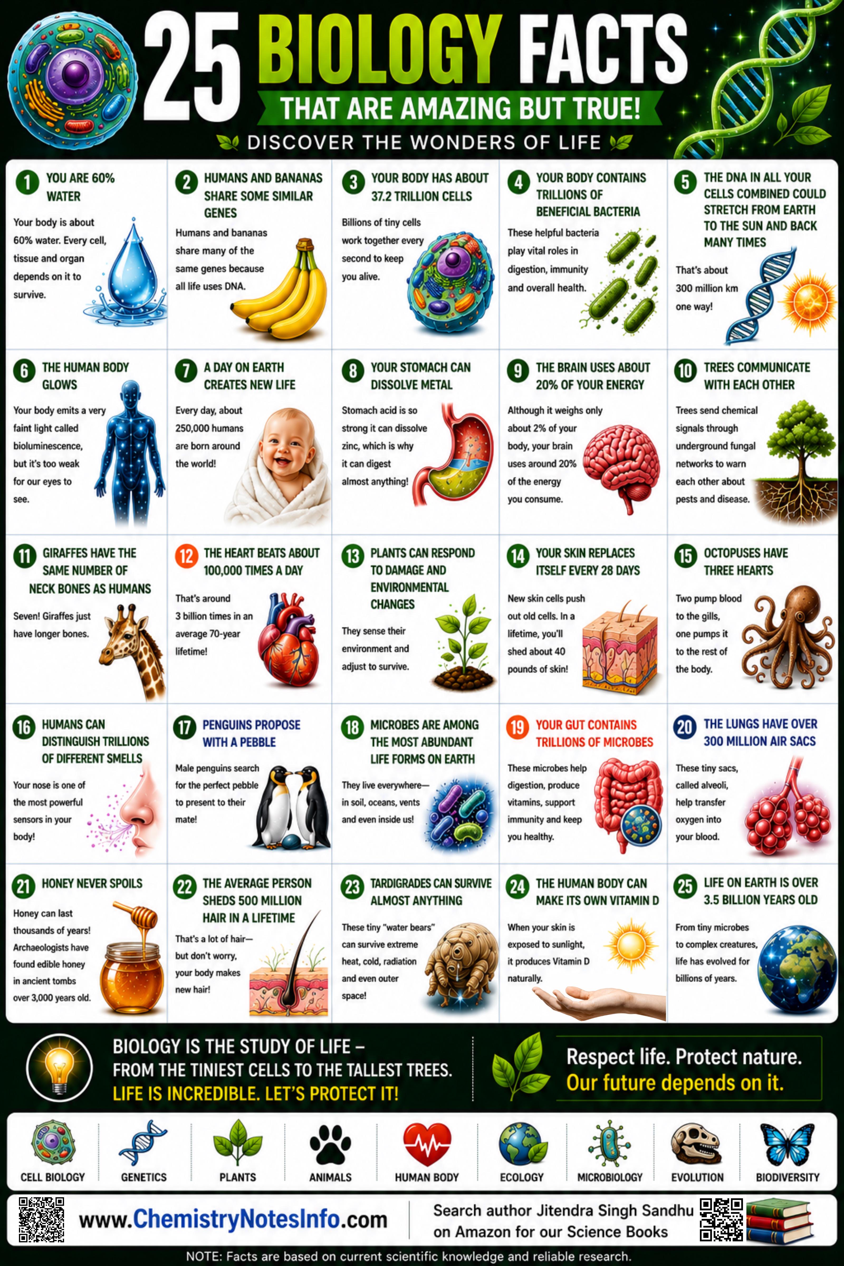 25 Biology Facts Visualization