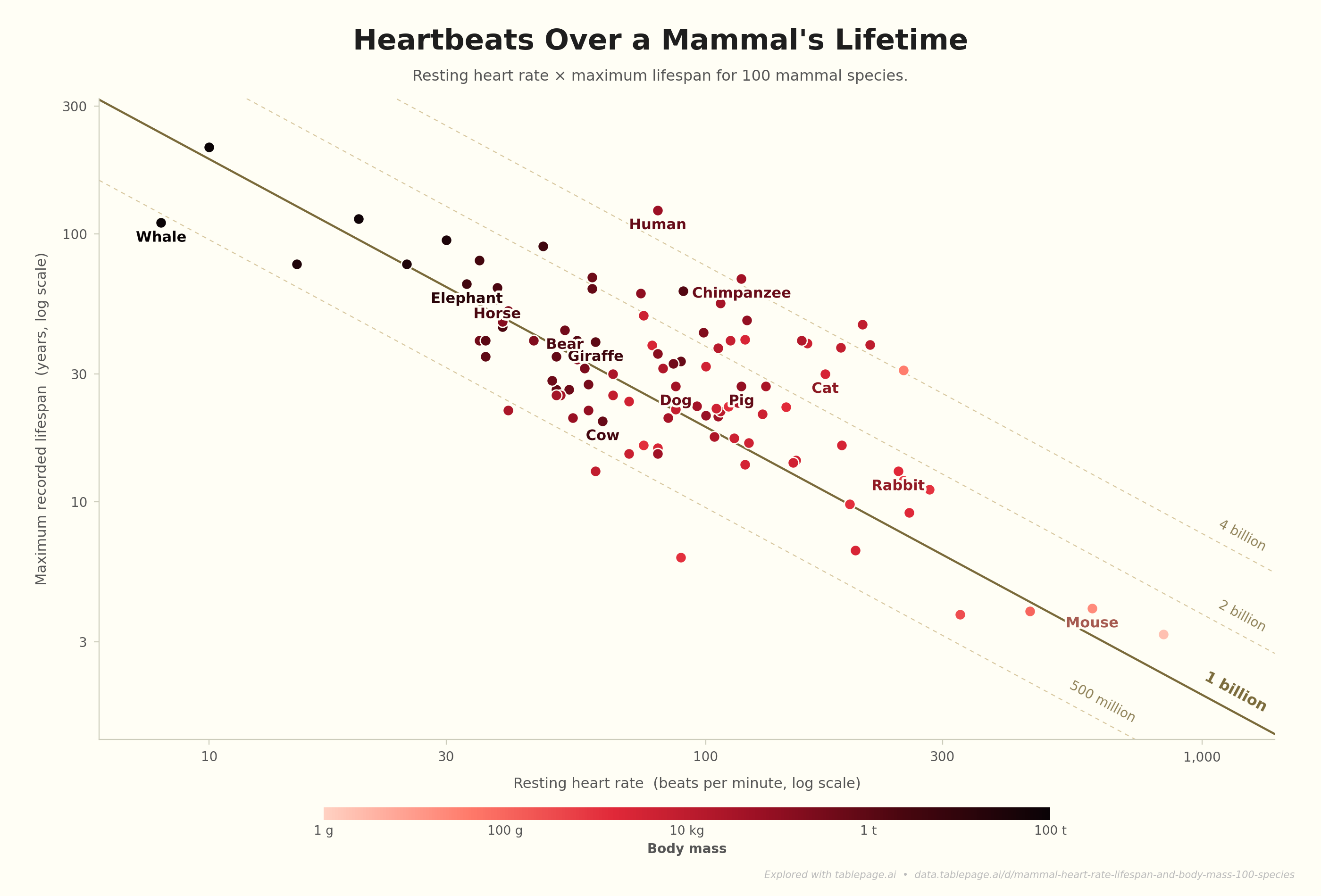 Heartbeats Over a Mammal's Lifetime [OC] Visualization