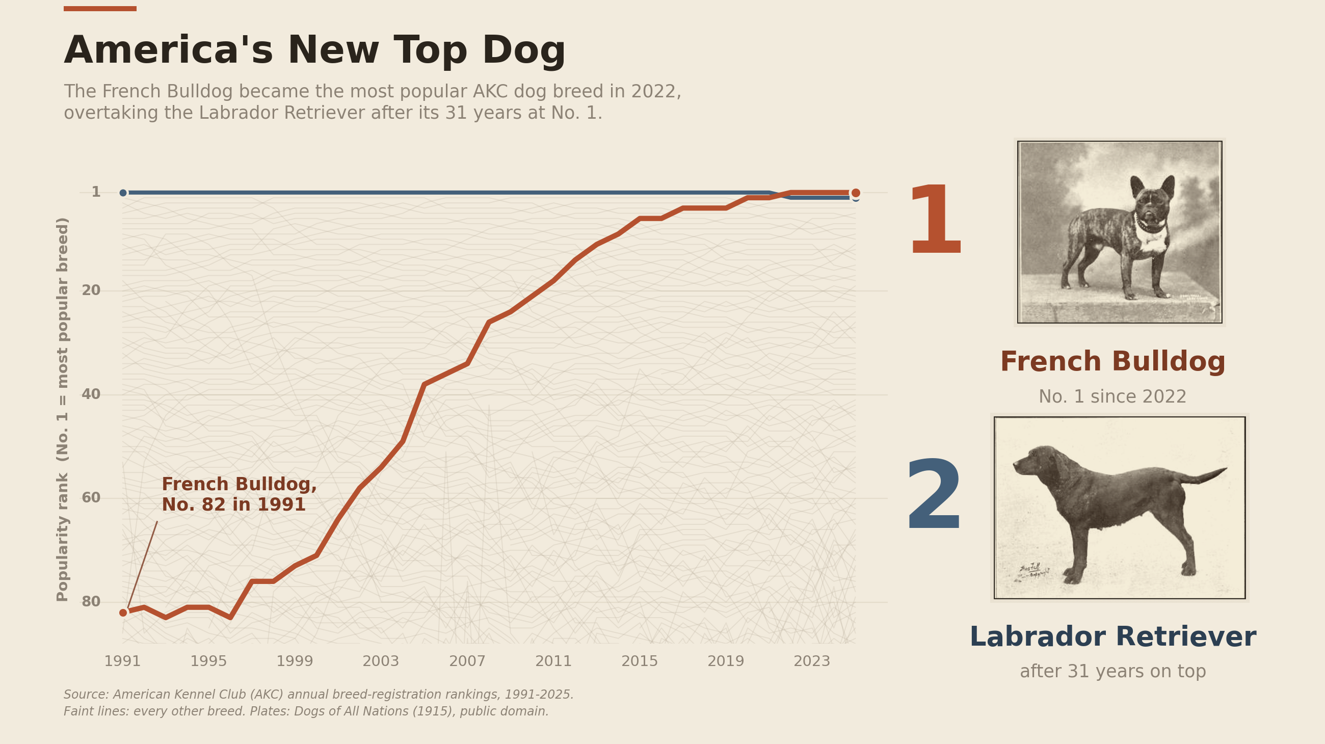 [OC] U.S. dog breed popularity rank by year, French Bulldog vs Labrador Retriever (AKC registrations, 1991–2025) Comparison