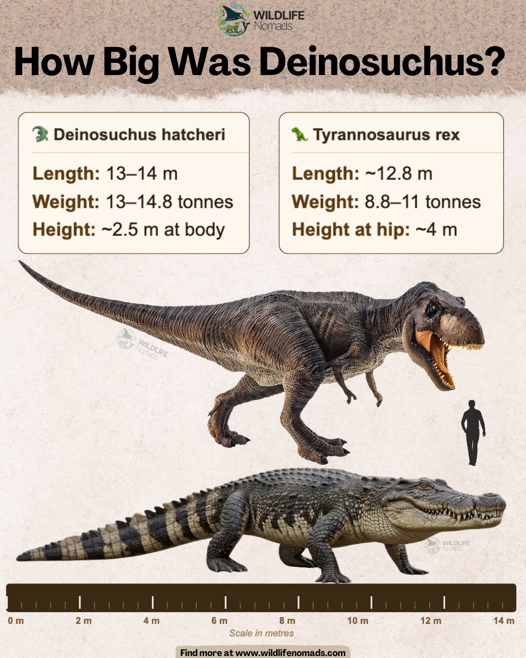 The biggest crocodile that ever existed Visualization The biggest crocodile that ever existed Visualization