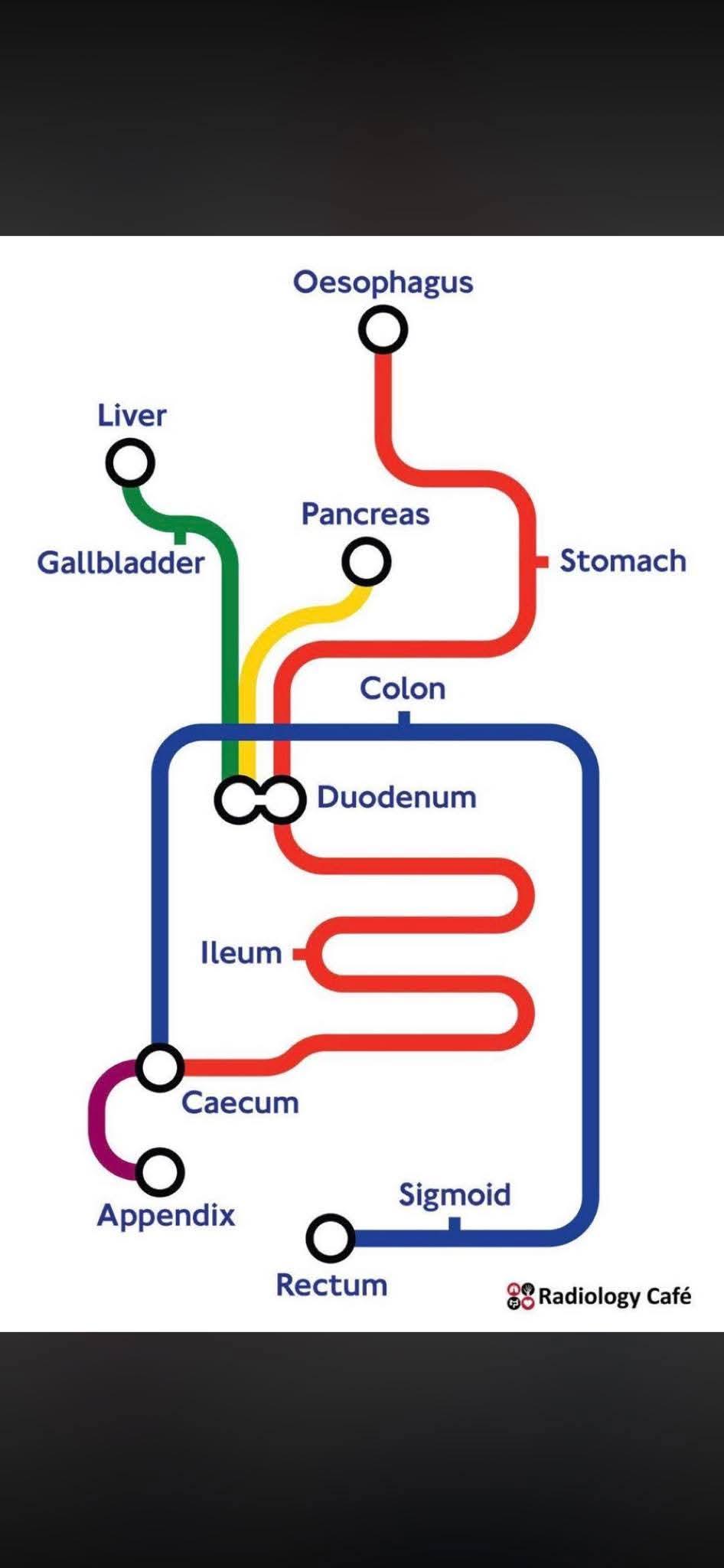The journey your food makes Visualization