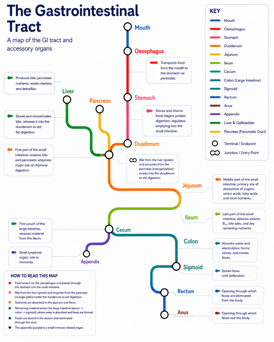 A better path your food takes Visualization