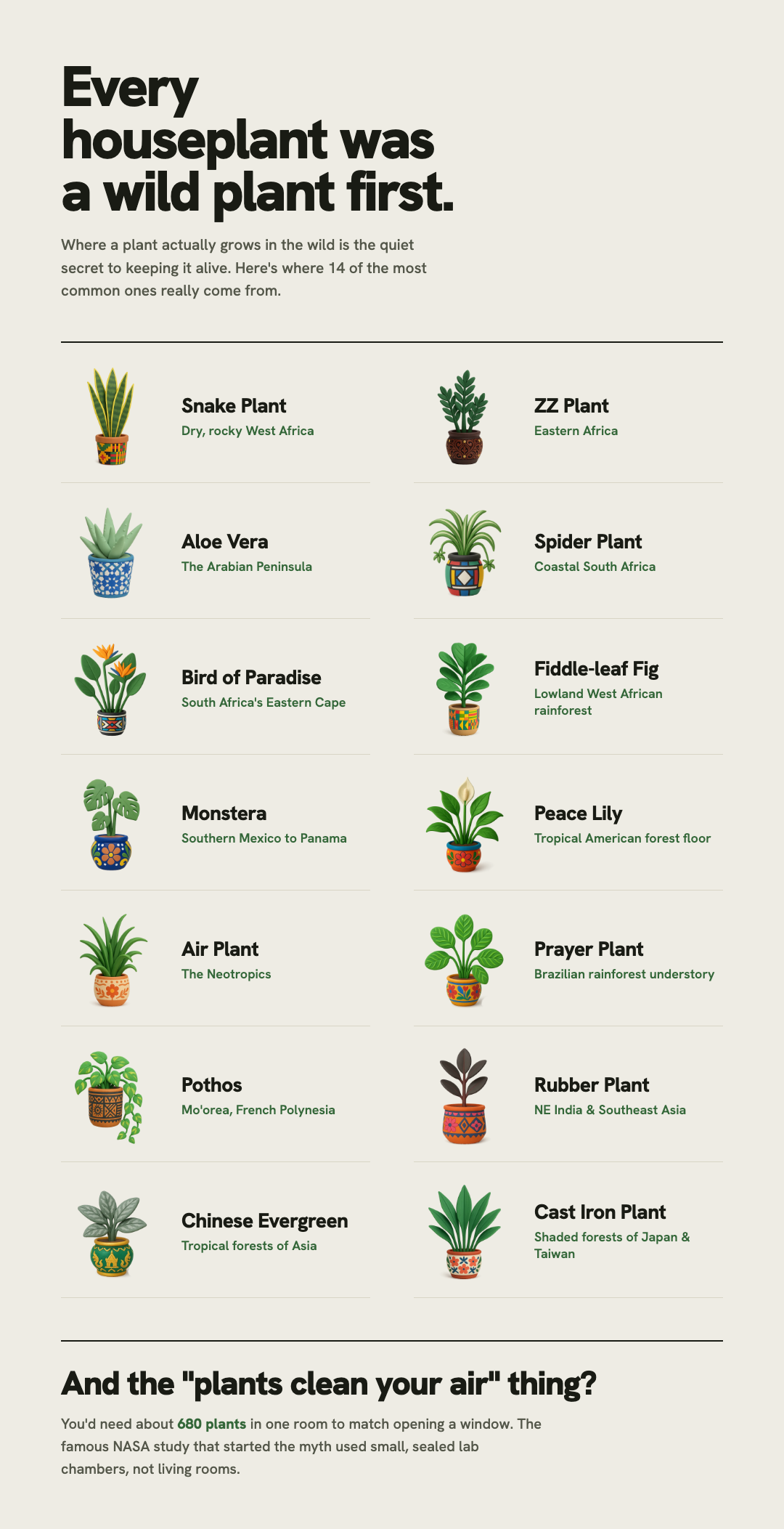 Houseplant Atlas Visualization Houseplant Atlas Visualization