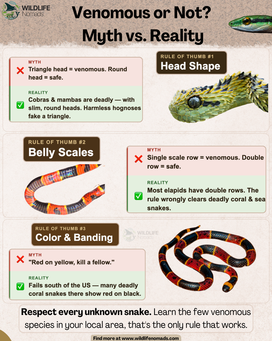 Can you tell if a snake is venomous just by looking at it?... Most "rules of thumb" are a myth Visualization