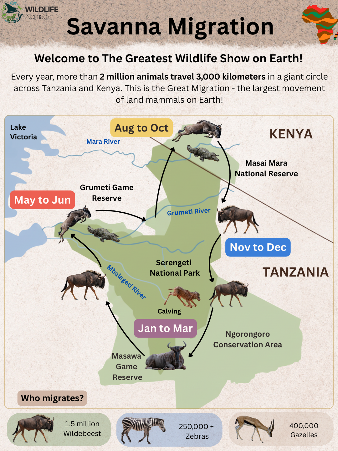 The great migration in Africa Visualization