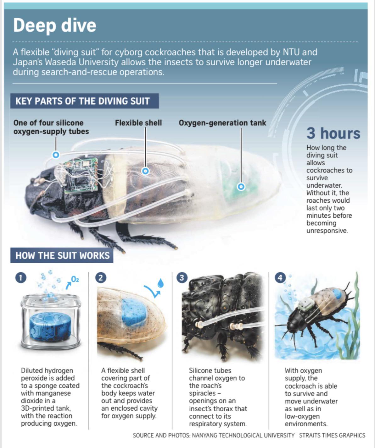 ‘Diving suits’ enable cyborg roaches to survive up to three hours underwater Visualization ‘Diving suits’ enable cyborg roaches to survive up to three hours underwater Visualization