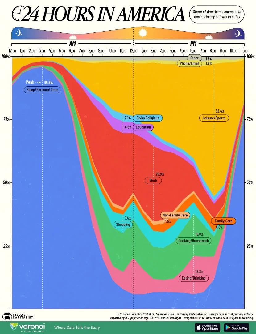 How Americans Spend Every Hour of the Day (2025) Visualization